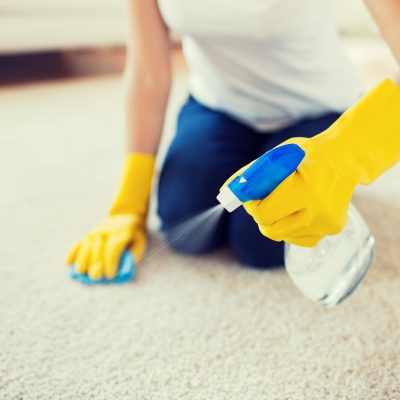 carpet cleaning services carpet cleaning services